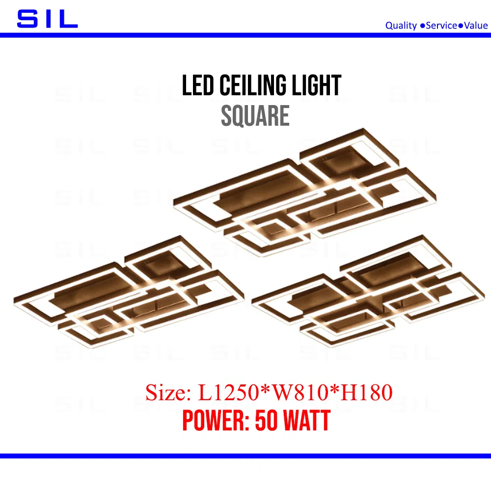 2021 New Design Special Designed Indoor Office Living Room Lighting 50W Ceiling Light