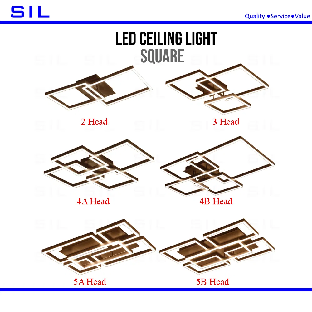 2021 New Design Special Designed Indoor Office Living Room Lighting 50W Ceiling Light