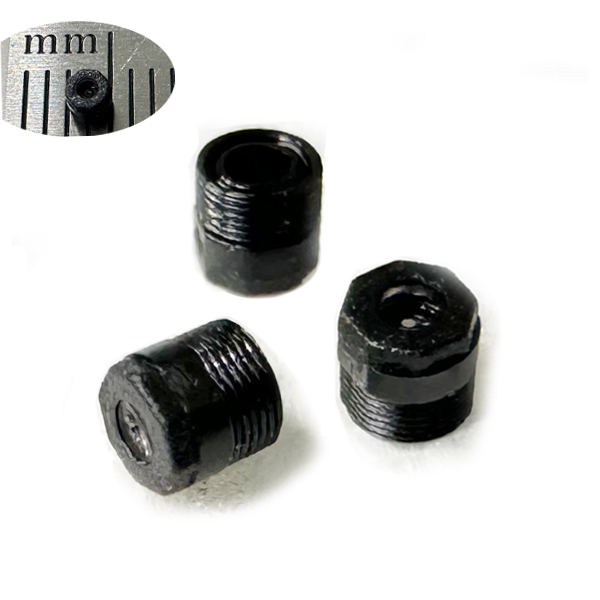 How Does an Endoscope Lens Work?