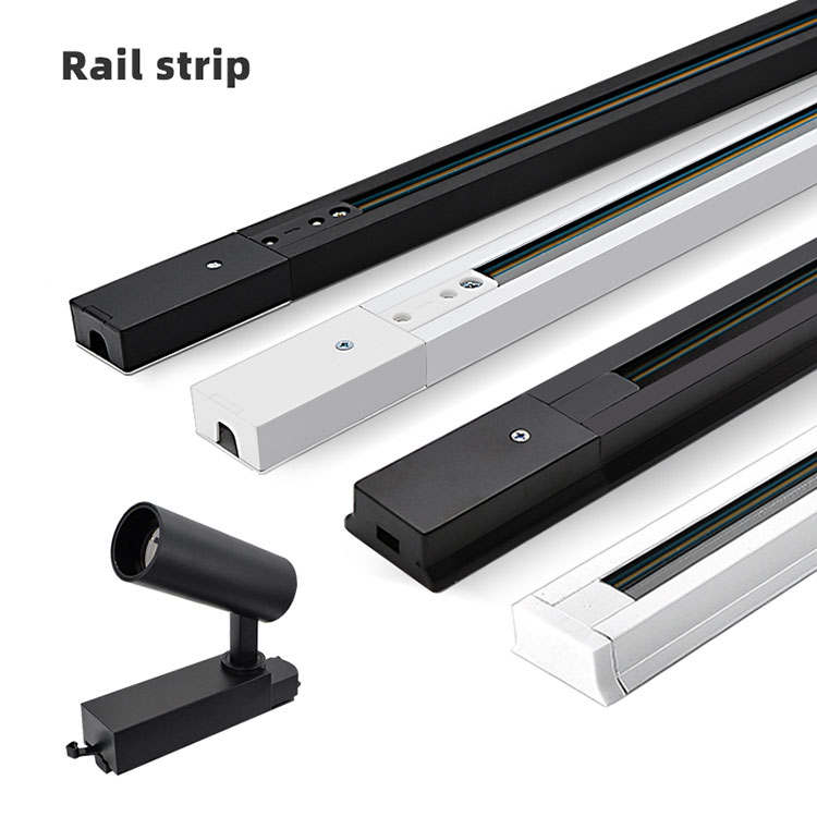 How Can Track Lighting Integrate with Voice Assistants?