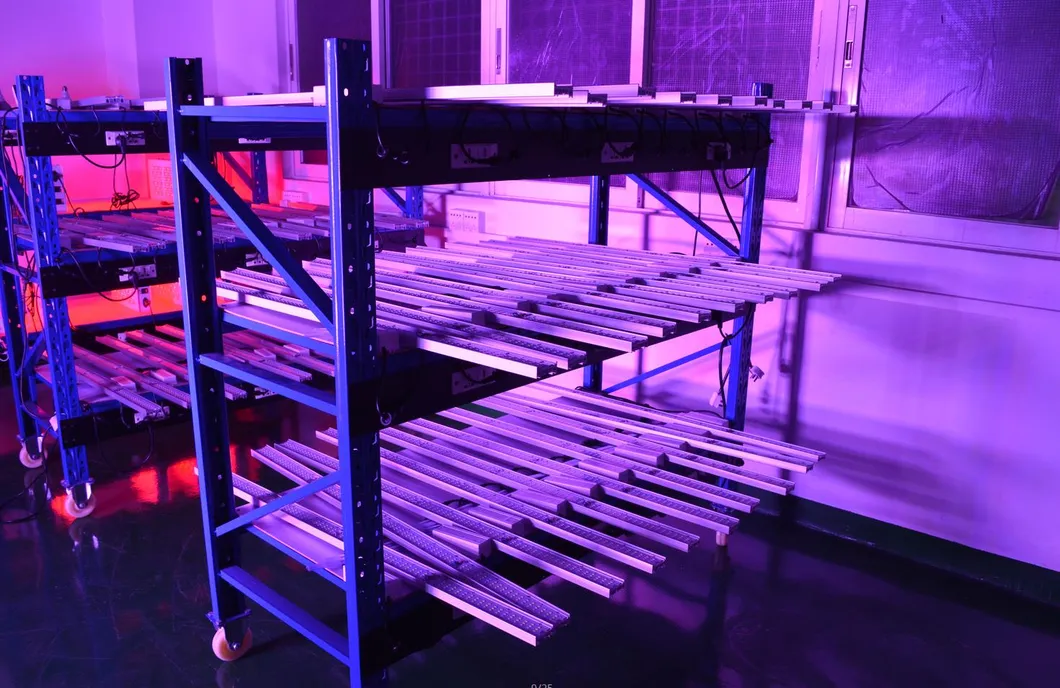 400W 640W 800W LED Plant Grow Lights