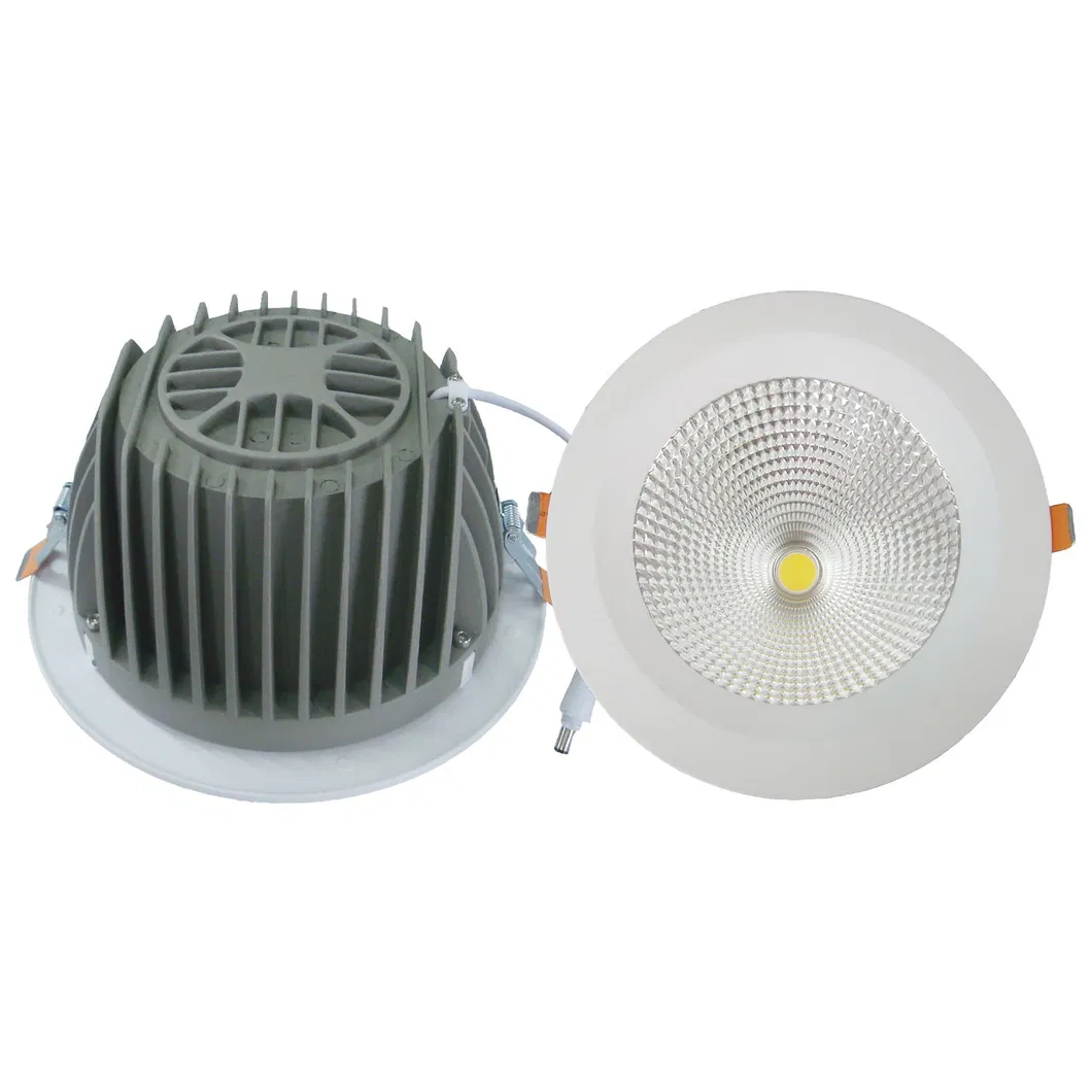 5 Year Warranty Ce RoHS Approval 30W CREE COB LED Downlight with Lifud Driver