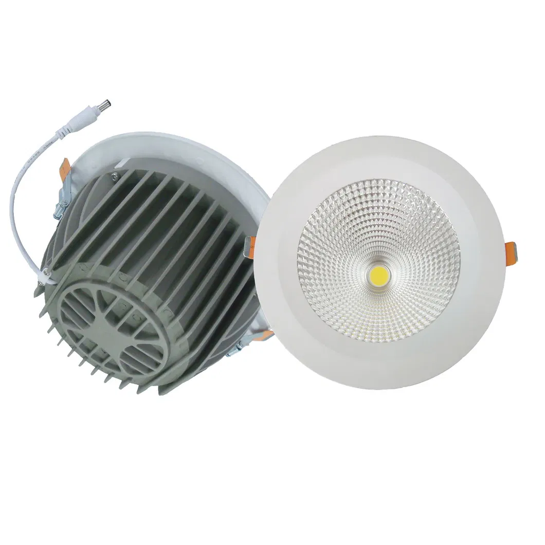5 Year Warranty Ce RoHS Approval 30W CREE COB LED Downlight with Lifud Driver