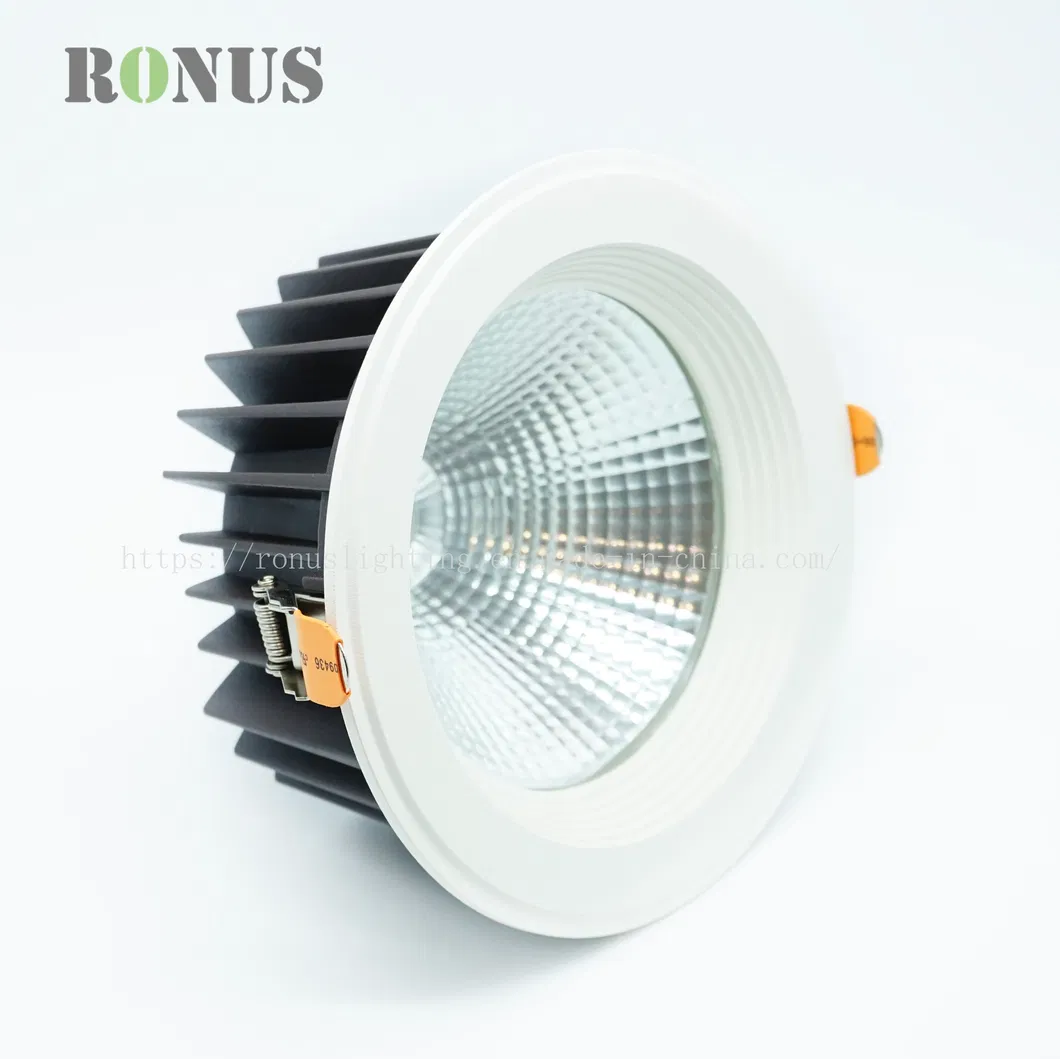 Big Size Shop Hotel Lobby Downlight 40W LED COB Down Light Lamp Ceiling Indoor Lighting