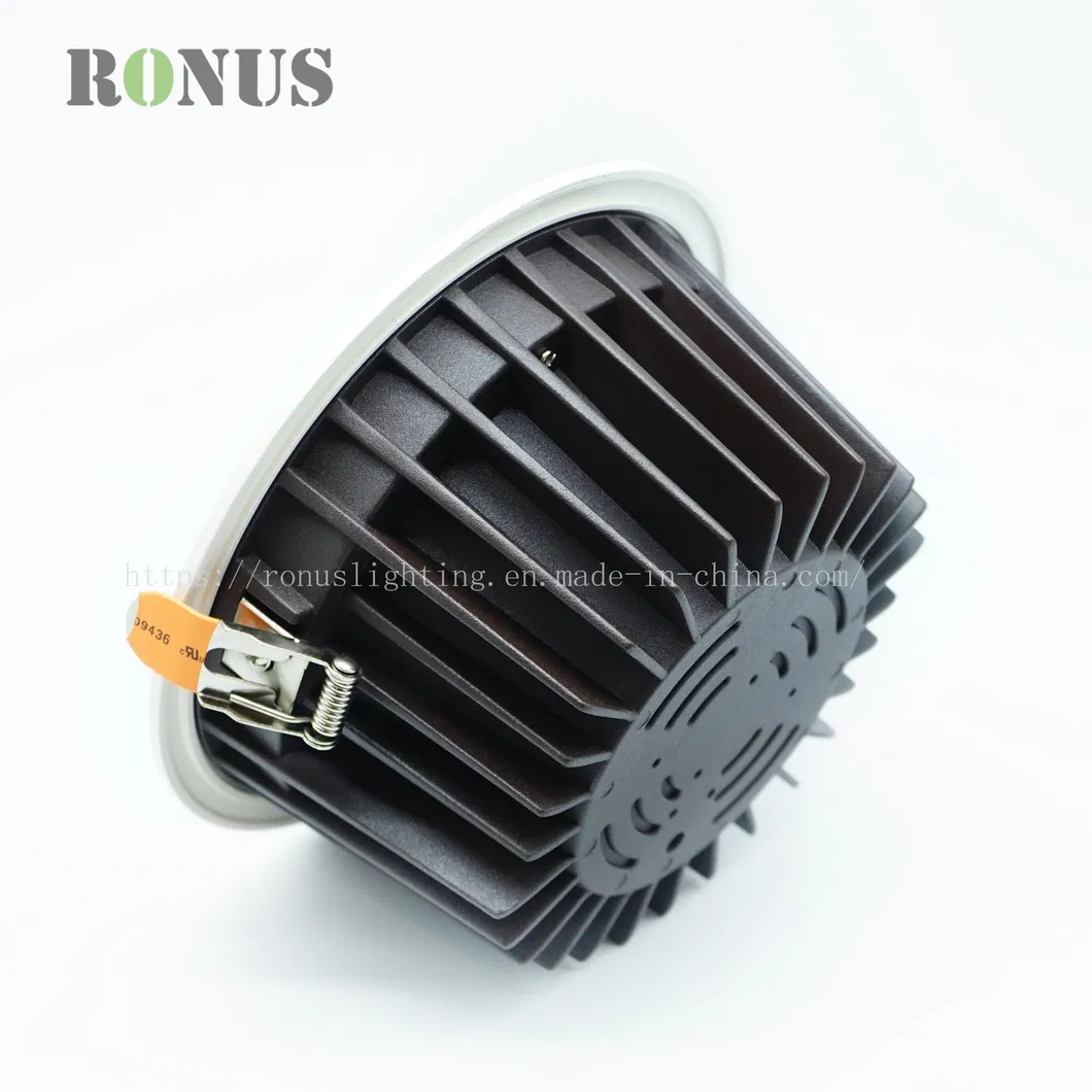 Big Size Shop Hotel Lobby Downlight 40W LED COB Down Light Lamp Ceiling Indoor Lighting