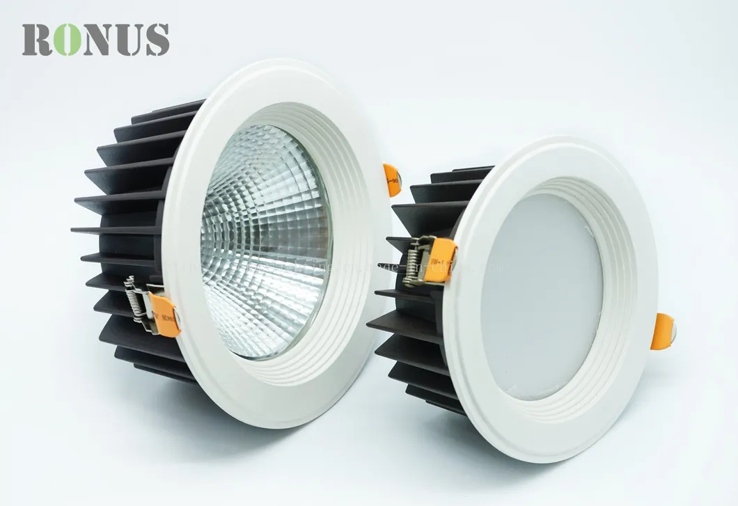 Big Size Shop Hotel Lobby Downlight 40W LED COB Down Light Lamp Ceiling Indoor Lighting