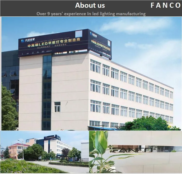 China Supplier LED Panel Light 1200X300 LED Indoor Lighting Panels Recessed LED Light Panel