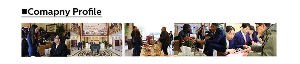 Chinese Factory Professional High Bay Lighting for Sale