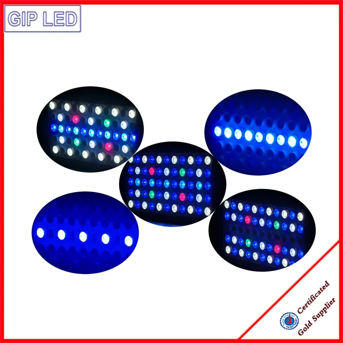 Coral Reef Used 120W 165W LED Aquarium Light for Distribution