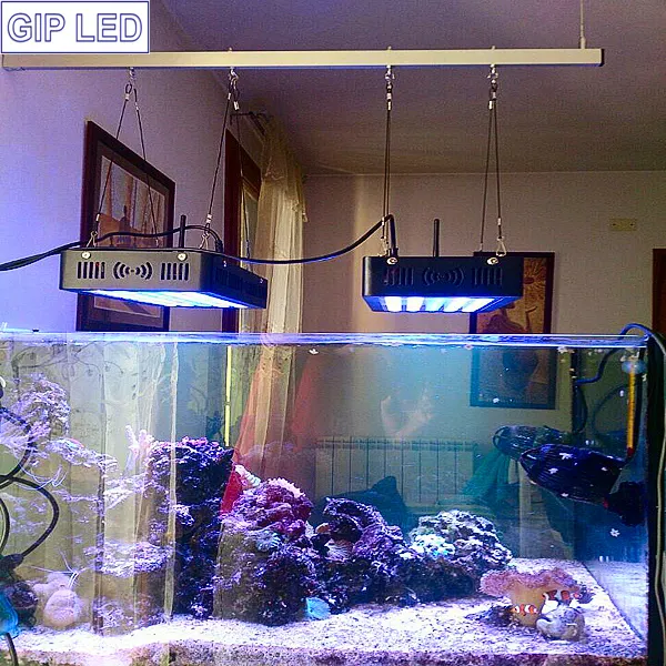 Coral Reef Used 120W 165W LED Aquarium Light for Distribution