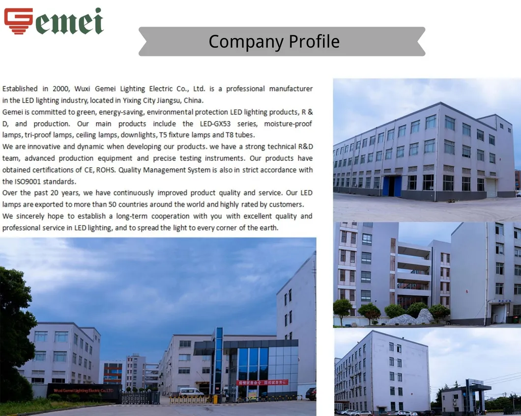 Easy Installation Decorative Lamp LED Flame Bulbs &nbsp;OEM/ODM &nbsp;CE EMC LVD RoHS