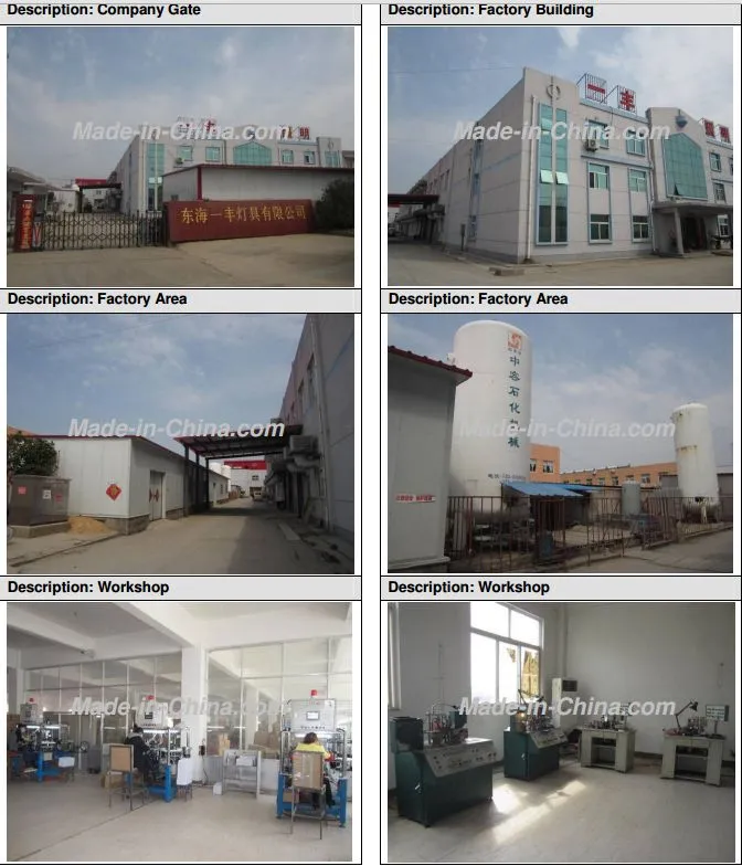 Eco C35 E27 Con CE, RoHS Approved Light