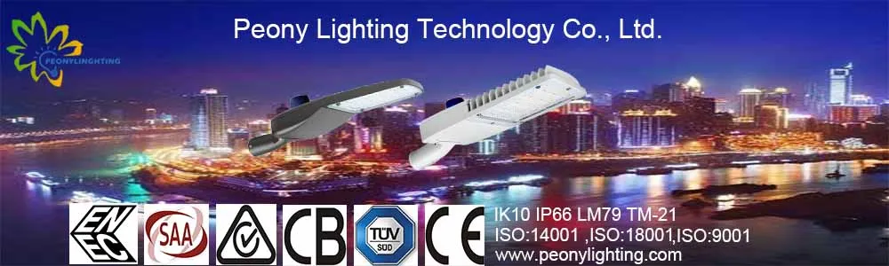 Factory Directly Sale TUV ENEC SAA CB Iram Street Light Meanwell Driver with 5 Years Warranty