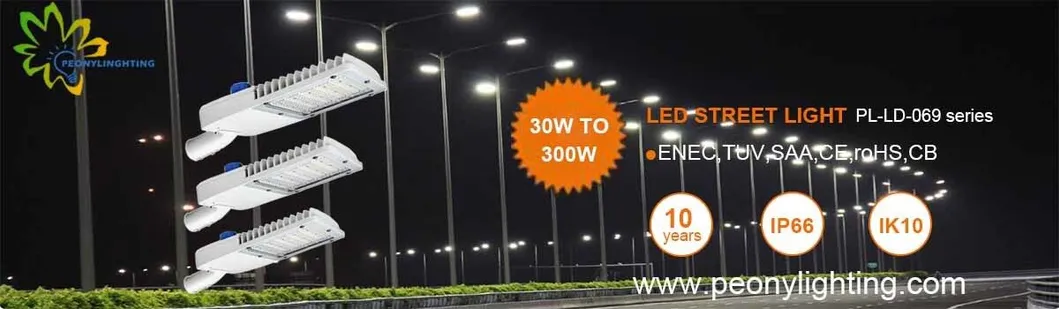 Factory Directly Sale TUV ENEC SAA CB Iram Street Light Meanwell Driver with 5 Years Warranty