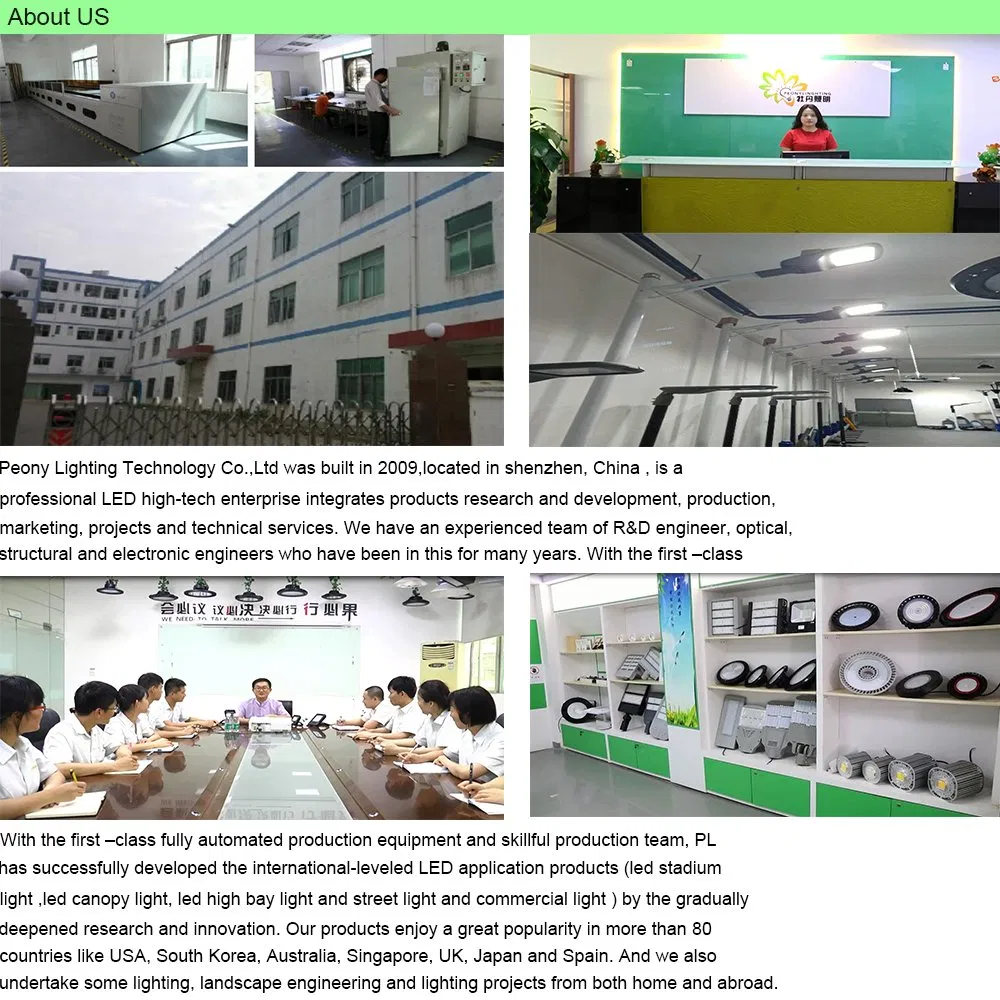 Factory Directly Sale TUV ENEC SAA CB Iram Street Light Meanwell Driver with 5 Years Warranty