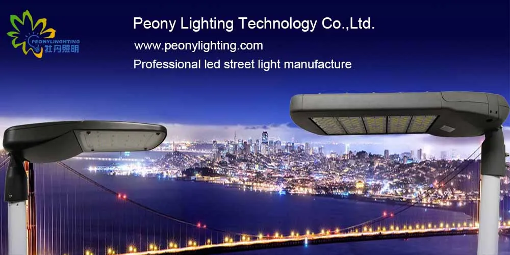 Factory Directly Sale TUV ENEC SAA CB Iram Street Light Meanwell Driver with 5 Years Warranty