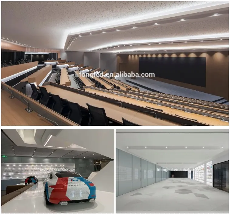 Factory High Quality Ra95 3000K 24 Degree Dali Dimming Flicker Free Black Commercial LED Downlight Ce RoHS SAA