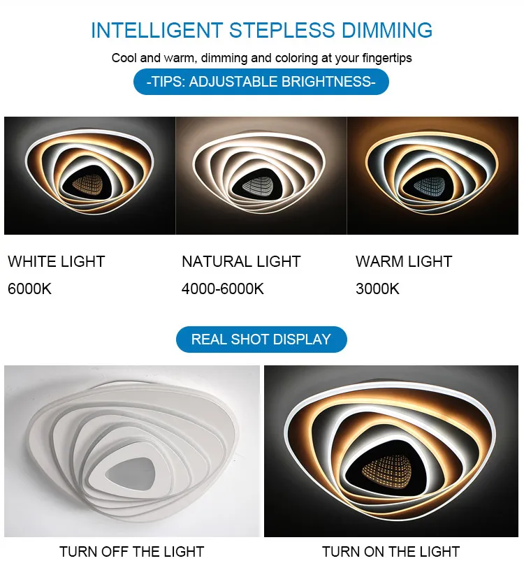 Langde Modern Bedroom Color Changing Flushmount Ceiling Lights for Living Room Ld3831
