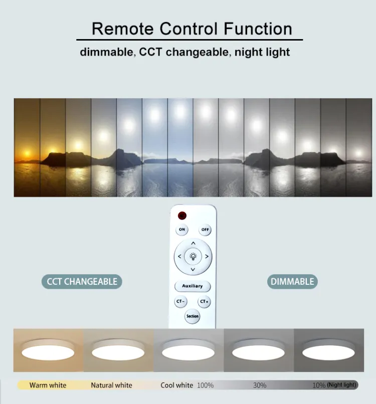 Langde Modern Bedroom Color Changing Flushmount Ceiling Lights for Living Room Ld3831