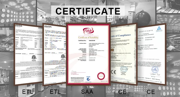 Langde Modern Bedroom Color Changing Flushmount Ceiling Lights for Living Room Ld3831