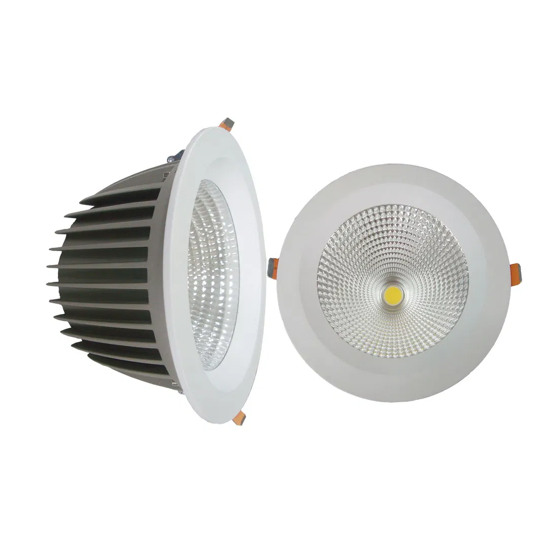 LED COB Down Light 30W 2700lm COB PF>0.9 AC100~240V