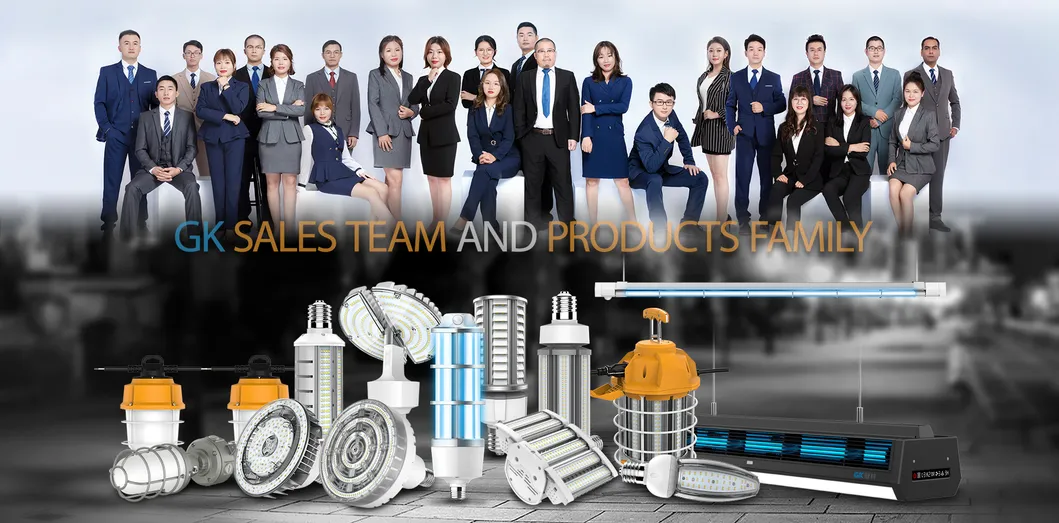 LED Intelligent Emergency Light Bulb E27 Cool Whit Post Top Street Lights