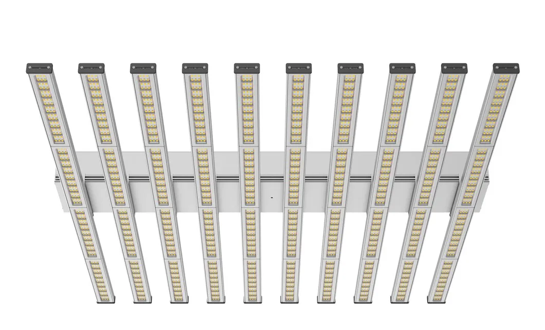 Master Grow Full Spectrum 200W 300W 600W 800W