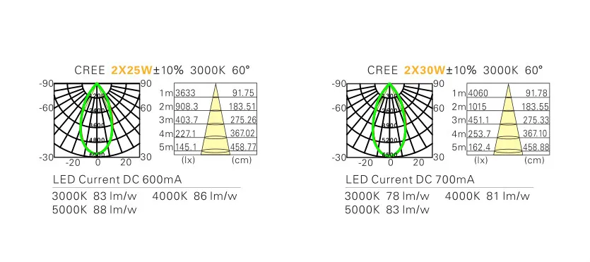 Rectangle 2X30W LED COB Grille Light
